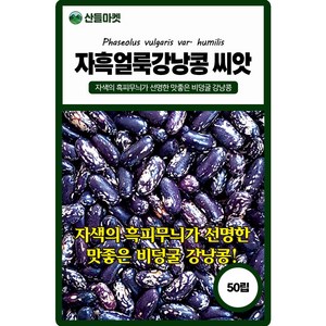 산들마켓 자흑얼룩 강낭콩씨앗 50립 흑피무늬 비덩굴성 강낭콩씨 종자, 1개