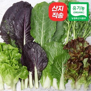 [자연마을] 친환경인증 유기농 당일수확 모듬 쌈 야채 샐러드 상추 모듬쌈, 1개, 1kg