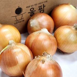 [울팜] 국내산 아삭 달달 단단한 창녕 양파, 1개, 양파(대) 5kg