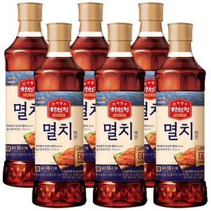 하선정 실속형 멸치액젓, 1kg, 6개