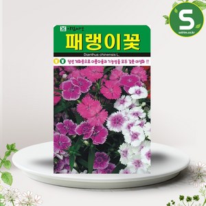 패랭이꽃씨앗 500립 패랭이꽃 꽃씨앗 꽃씨 야생화, 1개