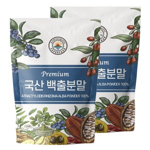 해나식품 백출 가루 삽주 뿌리 줄기 분말, 2개, 300g