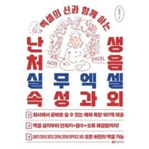 황금부엉이 난생처음 실무엑셀 속성과외 - 엑셀의 신과 함께 하는, 단품, 심지은