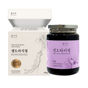 올가득 도라지청 생도라지함유 약도라지청 650g, 1개, 1개입