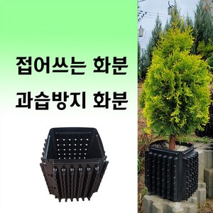 트리웰화분 9리터 (20cm*20cm*27cm) 접이식 과습방지 화분/ 조경수 유실수 화훼 육묘용 (100개 1박스), 100개