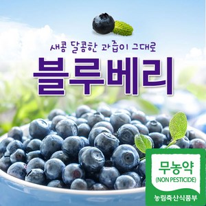 백운팜 국내산 무농약 블루베리(급냉), 1개, 블루베리(냉동) 1kg 대(14~15mm)