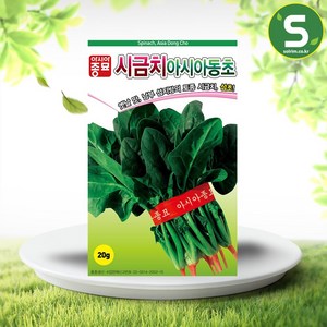 솔림텃밭몰 시금치씨앗 20g 아시아동초 시금치 월동시금치 토종, 1개