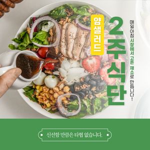 샐러드 포케 정기배송 2주 다이어트 식단 얌샐러드 구독 배달 야채 도시락 새벽 배송, 20개, 400g, 샐러드(월/화/수/목/금)