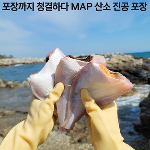 중매인직접 판매 경매 손질 발송 국내산 손질 생물 참가자미 MAP 산소 포장 최초, MAP 산소진공포장 생물 참가자미4마리800g, 1개