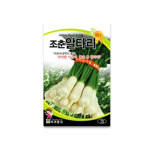 모칸도 세계종묘 조춘알타리 30g, 1개