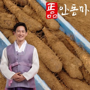 산지직송 안동마 산마 장마 참마 3kg 5kg, (장마) 가정용 3kg, 1개