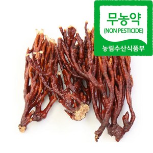 문상영버섯농장 녹각영지버섯 소포장 100g, 1개