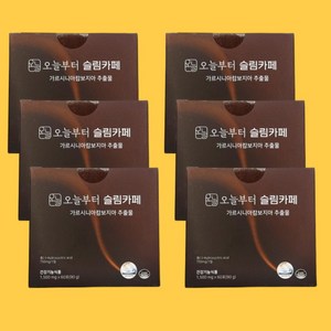 오늘부터 슬림카페 90g, 6개