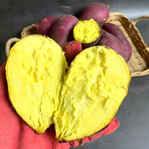 [정동원고구마] 전라도 밤고구마 해남 영암 무안, 1개, 5kg 중(50~100g)