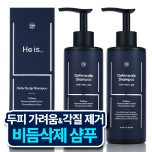 히이즈 디펜스칼프 두피가려움 & 비듬각질 제거 쿨링 샴푸, 2개, 500ml