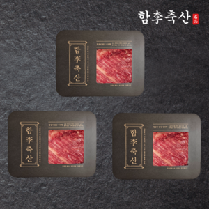 [당일발송] 부드럽고 고소한 1++등급 투뿔 프리미엄 한우 양지, 3개, 300g