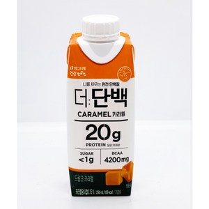 빙그레 더단백 드링크 카라멜, 250ml, 9개