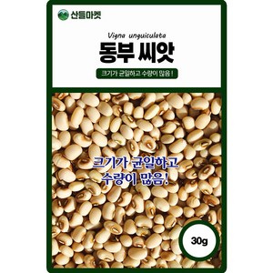 산들마켓 동부 콩씨앗 30g 고온에서 발아가 좋은 덩굴성 국내산 콩씨 종자, 1개