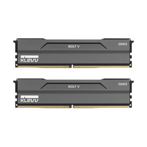 ESSENCORE ESSENCORE KLEVV DDR5-6400 CL32 BOLT V 패키지 서린 (32GB(16Gx2)), 2개