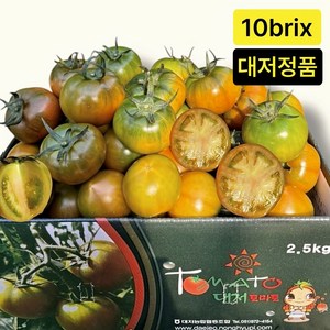 [평점4.9점] 부산 대저 토마토 당일수확, 1개, 2.5kg (중과)