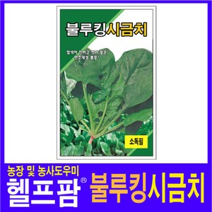 자체브랜드 헬프팜 불루킹시금치 40g 종자 그린하트바이오, 1개