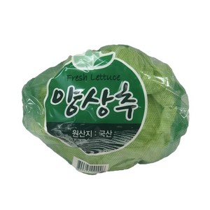 국내산 양상추 간편한 손질된양상추 개별포장 신선한양상추 약500g 1개, 500g