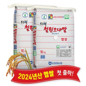 당일도정 2024년 햅쌀 GAP인증 두루웰 철원오대쌀 한탄강 맑은 물로 재배한 쌀. 동철원농협 정품, 10kg, 2개