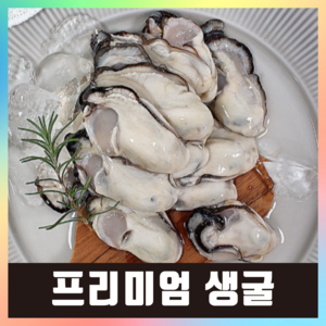 햇굴 생굴 당일작업 깐굴 굴 통영, 1개, 최상급(대굴) 2kg