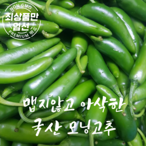 국산 모닝고추 아삭이고추 못난이 모닝 고추, 1kg, 1개