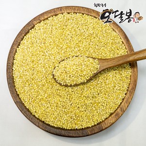 힘찬농부 수입 찰기장 기장쌀, 1개, 5KG