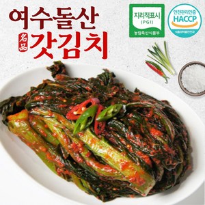 영농조합법인 여수 돌산 갓김치 1kg 2kg 3kg 당일생산제조 국내산100%, 1개