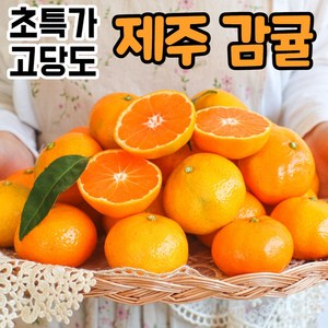 [정품] 제주 제주도 서귀포 산지직송 고당도 노지 하우스 귤 감귤 밀감, 1박스, 3kg(대과)