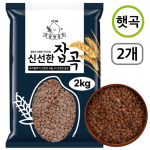 [쌀쌀쌀] 캐나다산 햇 브라운 렌틸콩, 2개, 2kg