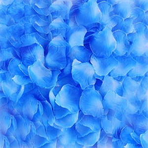 카푸 파티용 꽃가루 100PCS, Blue