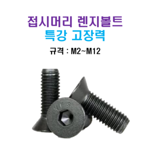 특강 고장력 접시머리 렌지볼트 M2~M12 너트 와셔, M5, 45mm, 1개