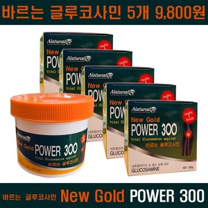 [제일짱] 뉴 골드 파워300 (무료배송), 5개