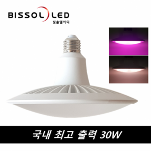 홈가드닝 식물 생장 조명 LED 전구 30w 식물성장조명, 1개, PU210(보라색광)