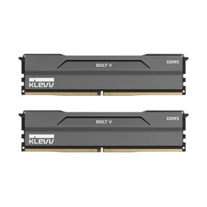 [에센코어] KLEVV DDR5 PC5-48000 CL30 BOLT V 서린 [32GB (16GB*2)] (6000), 2개