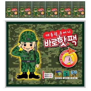 팜텍 대용량 바로핫팩 1개입 140g, 30개