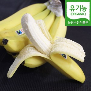 [자연마을] 유기농 인증 다이어트 과일 바나나 2kg 3kg 내외, 1개