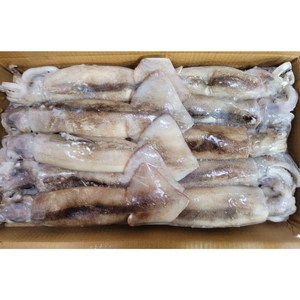 [미쓰리푸드마켓]오징어 베이트 육동 3KG 10-11마리 수입 통오징어 업소용 마트용, 1개