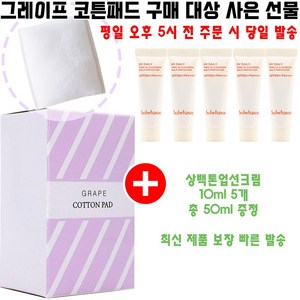 그레이프코튼 구매시 샘플 상백톤업선크림 10ml AD24 5개 증정, 1개입