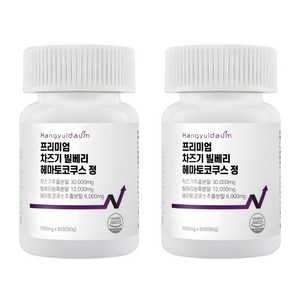 한결다움 프리미엄 루테올린 차즈기 빌베리 헤마토코쿠스 결명자 당근 메리골드 1000mg 60정, 2개