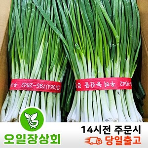 국내산 깐쪽파 1kg내외, 1개, 2kg내외(2단)