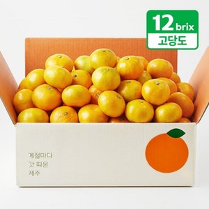 [탐라왕] 당도선별 타이벡 노지감귤 5kg(로얄과/2S~M), 없음, 1개