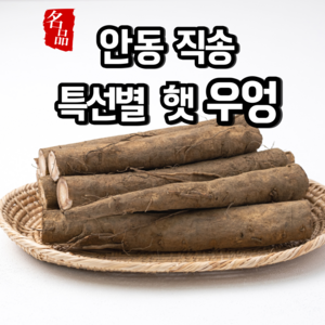 [특선별] 햇우엉 우엉 안동 직송 생우엉, 1개, 우엉 [대상] 4kg 차용