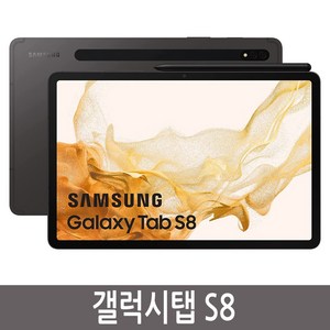 삼성전자 갤럭시탭 S8 SM-X700, 갤럭시탭S8, 128GB, Wi-Fi