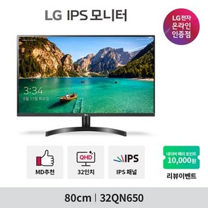 LG전자 32QN650 (80cm/IPS/QHD/플리커프리/블루라이트차단/HDR) 모니터, 무료택배배송