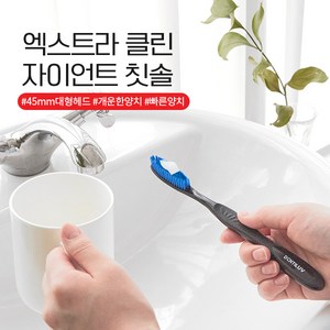 덴티럽 자이언트 칫솔, 1개, 1개입