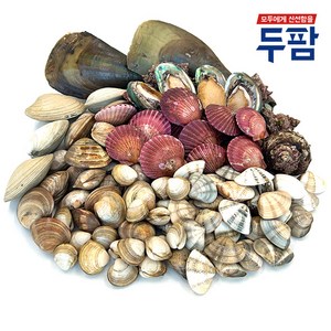 두팜 조개구이 2kg 세트 조개모듬 캠핑조개, 고급세트 2kg 내외, 1세트